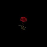 Telegram profile photo for Прعуسпعвشиع - только то, что принесет пользу.