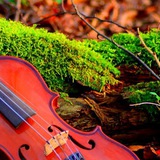 Telegram profile photo for Folk-group Claddagh, Yalta