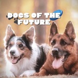 Telegram profile photo for ·Dogs of the Future·🥏🐾