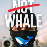 Telegram profile photo for неКит | Crypto 🐳