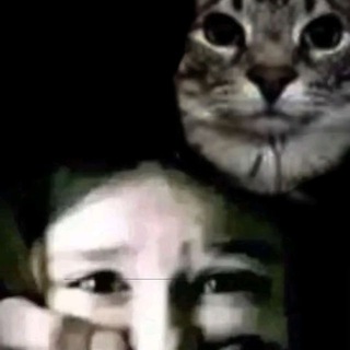 Telegram profile photo for пешеходный переход