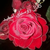Telegram profile photo for کانال روستای اسفید