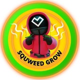 Telegram profile photo for SquWeed Grow - Portal