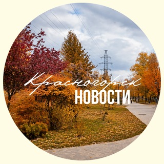 Telegram profile photo for КРАСНОГОРСК.НОВОСТИ