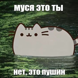 Telegram profile photo for ПЕРЕХОДНИК Hate unteralterbach confession.