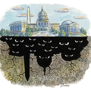 Telegram profile photo for Deep State Collapse