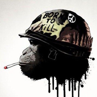 Telegram profile photo for Zionist For War Channel