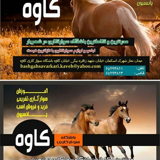 Telegram profile photo for باشگاه سوارکاری کاوه