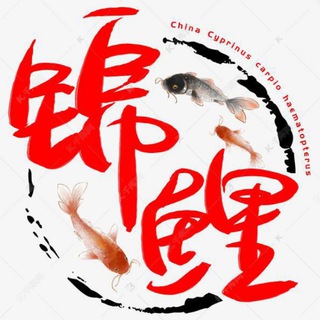 Telegram profile photo for 锦鲤888【闲鱼卡券回收项目】【日入1000+】