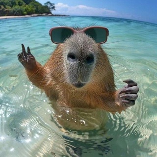 Telegram profile photo for Капибара | кеш / вб/озон/ возврат за отзыв до 100%