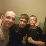 Telegram profile photo for Три медведя