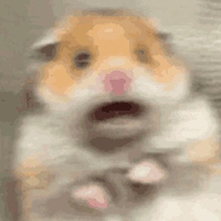 Telegram profile photo for $HAM | Portal