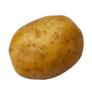 Telegram profile photo for safina бульба