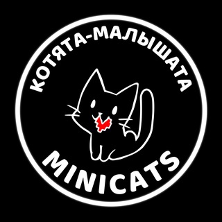Telegram profile photo for MiniCats - младшая команда