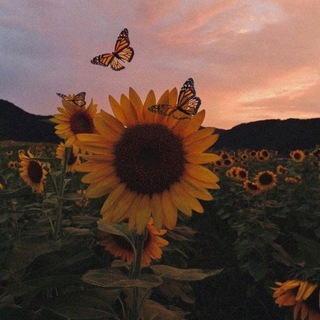 Telegram profile photo for أيّار | 𝐌𝐀𝐘 💛🌻