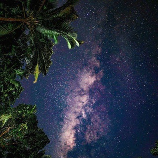 Telegram profile photo for haqiqat link