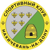 Telegram profile photo for НАХИЧЕВАНЬ | Спортивный клуб 🇦🇲