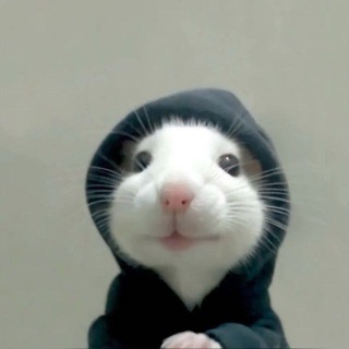 Telegram profile photo for π½ππ