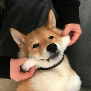 Telegram group profile photo for Yi - Group|群组