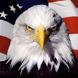 Telegram profile photo for AMERICAN Blog | Wallpapers