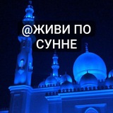 Telegram profile photo for ЖИВИ ПО СУННЕ