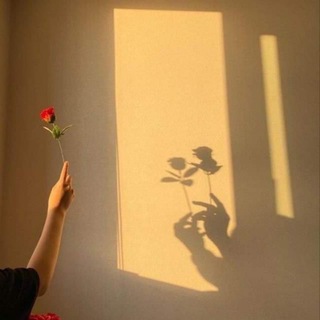 Telegram profile photo for مجرد تفاصيل|💛🌻