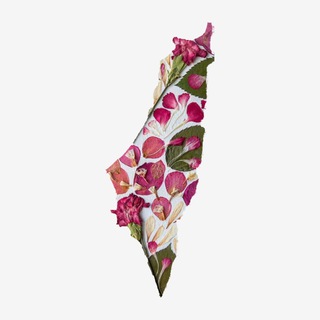 Telegram profile photo for 💌Të gjitha ngjyrat e jetës💌