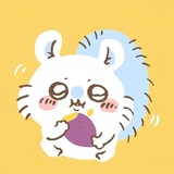 Telegram profile photo for ๐๐๐๐๐๐๐๐ ๐๐๐๐๐