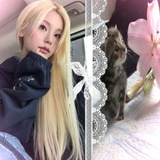 Telegram profile photo for ПЕРЕЕЗД + ПЕРЕОТМЕТКА syndrome d’adele