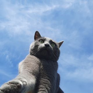 Telegram profile photo for мнекомфортно