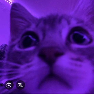 Telegram profile photo for N3try