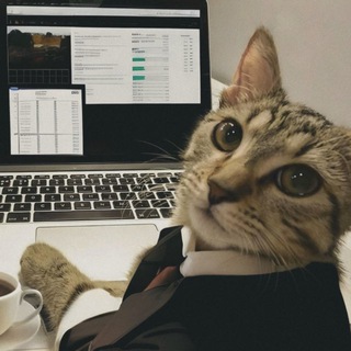Telegram profile photo for Business Students✨