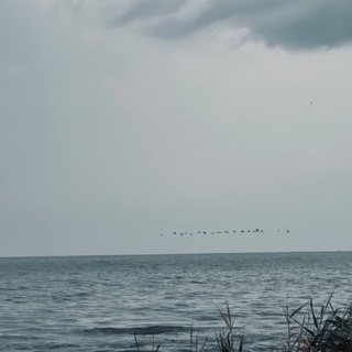 Telegram profile photo for Океан мыслей 🌊📜