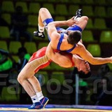 Telegram profile photo for 🤼_Wresiling_🤼