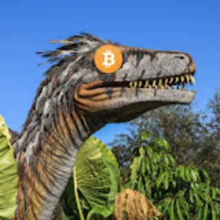Telegram profile photo for The Coin Raptor