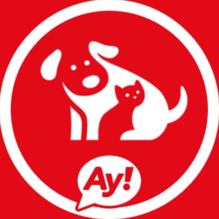Telegram group profile photo for 🇹🇷 Турецкий Котопес
