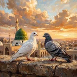 Telegram profile photo for القرآن والعترة