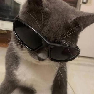 Telegram profile photo for Vouch
