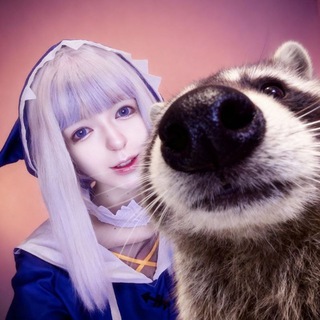 Telegram profile photo for Korigatori