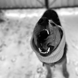 Telegram profile photo for Отзывы мухтаридзе