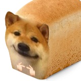 Telegram profile photo for Хлебобулка флудит (ЩП)