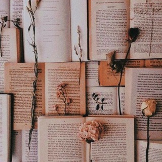 Telegram profile photo for Sammlung von Zitaten aus Büchern 📚