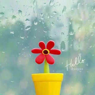 Telegram profile photo for چتر خیس