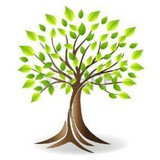 Telegram profile photo for Souleymân Bébel / سليمان ببل
