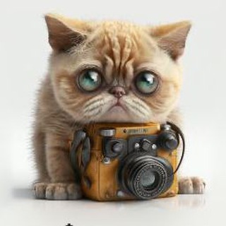 Telegram profile photo for Поле чудес Джексона 🌈