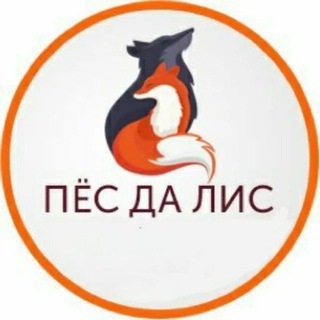 Telegram profile photo for ТОП КАЗИНО 🔝