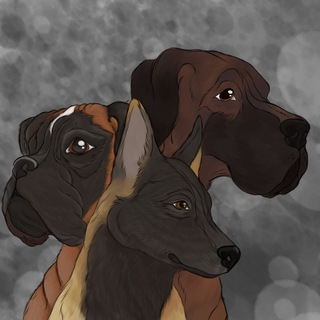 Telegram profile photo for Перешли на новый тгк