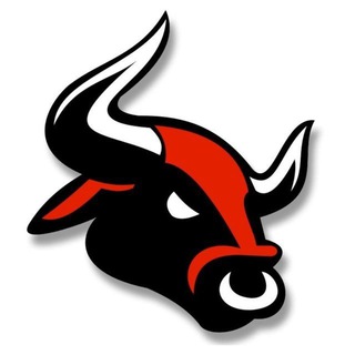 Telegram profile photo for 💹 Best.Forex.Team