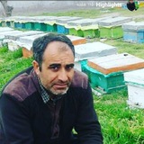 Telegram profile photo for (عسل طبیعی ایمان )
