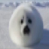 Telegram profile photo for резы